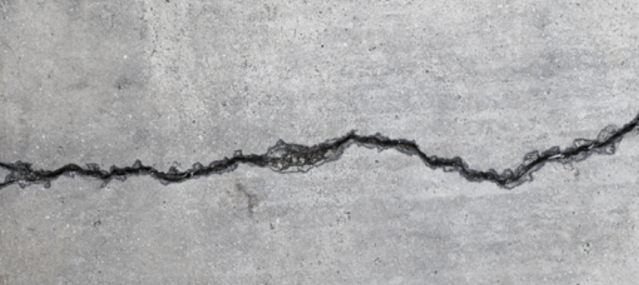 un avantage concurrentiel majeur